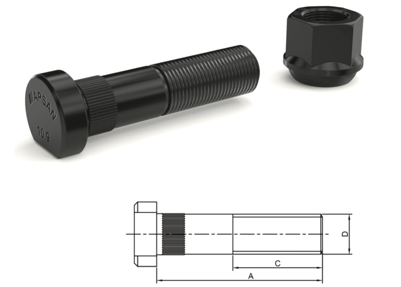 50NC ARKA UZUN BİJON