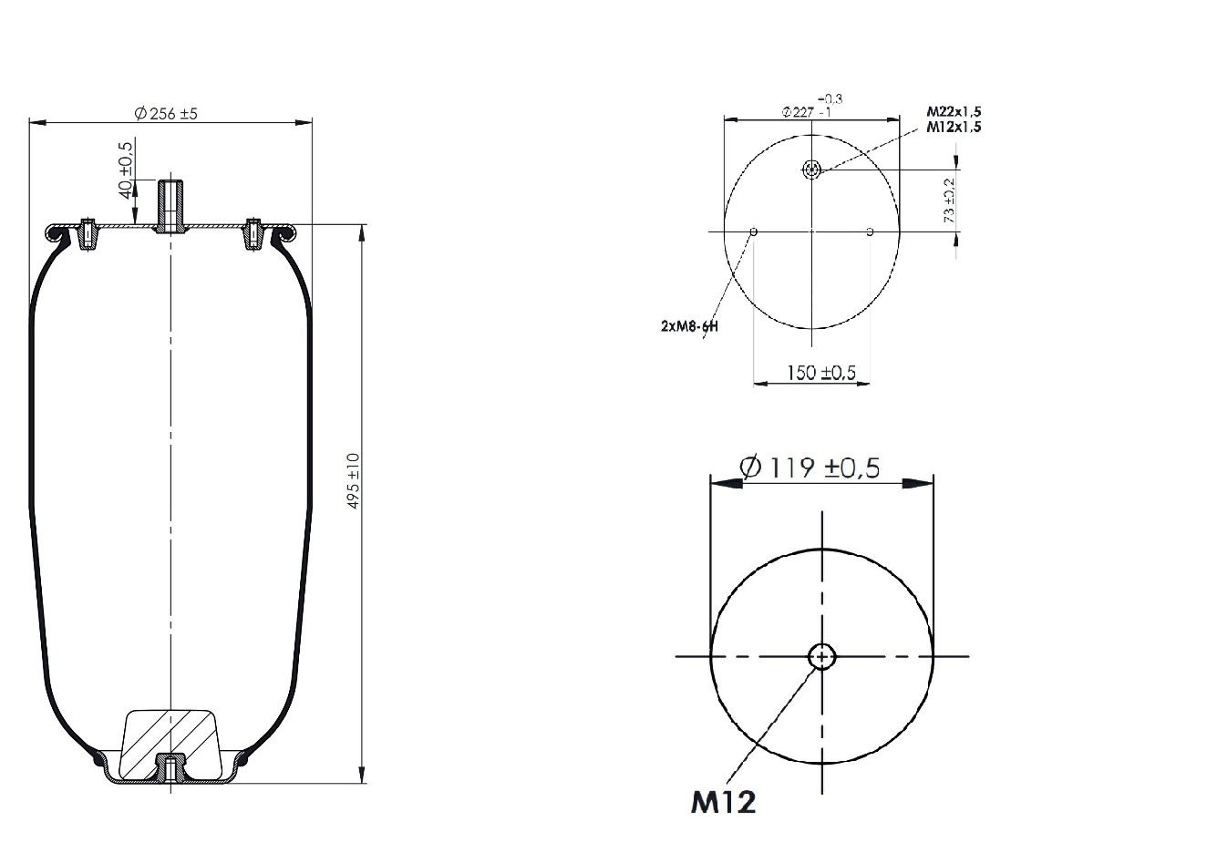 SERVİS TİPİ KÖRÜK ( SCHMITZ )